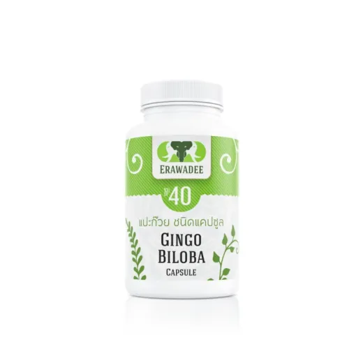 Средство для сосудов головного мозга Ginkgo Biloba No.40